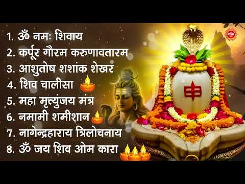 शिव भक्ति भजन : ॐ नमः शिवाय, कर्पूर गौरम करुणावतारं, आशुतोष शशाँक शेखर, नमामि शमीशान, शिव अमृतवाणी