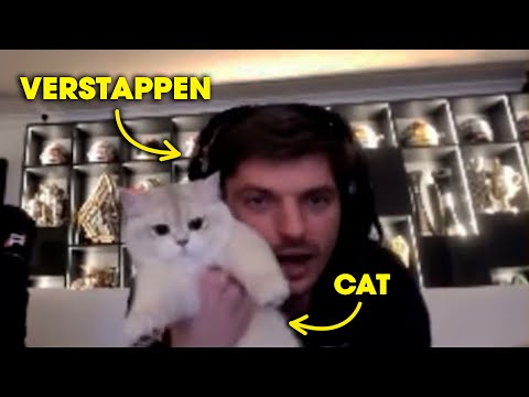 Max Verstappen Being a Cat Dad for 10 Minutes Straight
