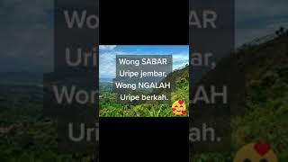 Download lagu Bestie nya orang jawa SABAR dan NGALAH-an  #shorts #katabijak #katamutiara #pesanjawa mp3