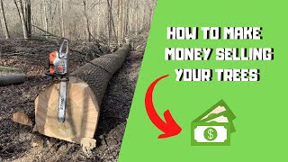How to make MONEY selling your TREES!!! *BEST WAYS*