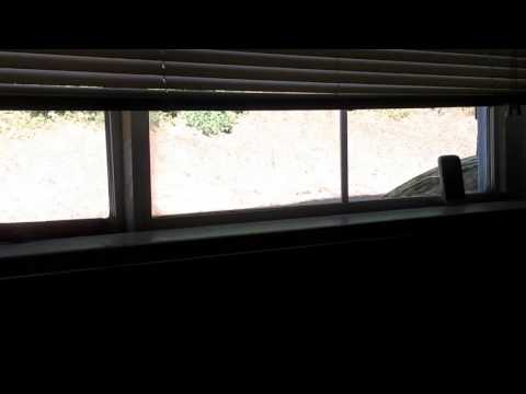 #RATCHET #UPSTAIRS STOMPING WITH BONUS #UNSUPERVISEDKIDS #UNDER6 #SCREAMING #HARASSMENT 72616@656pm