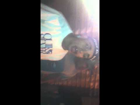 MEDLEY MC KEKe MC KAUAN MC LELLO E CHIQUINHO (2012)