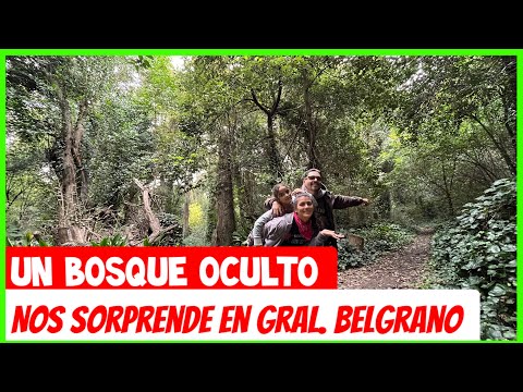 🚨 Bosque Encantado en General Belgrano Buenos Aires