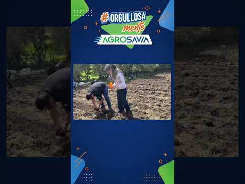 30 años después, estas semillas vuelven a florecer