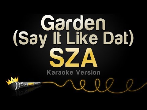 SZA - Garden (Say It Like Dat) (Karaoke Version)