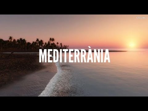 MEDITERRÀNIA - La Fúmiga ft. Flora (El diluvi) i Man (VADEBO) - (Letra)