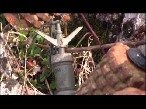 LJUBINJE - ŽIVOT U MINAMA 23.05.2015.