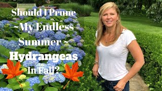 Should I Prune my Endless Summer Hydrangeas in Fall ?