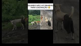 isso é inovação 😂😂