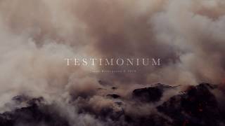 Jacob Kirkegaard - TESTIMONIUM (Trailer)
