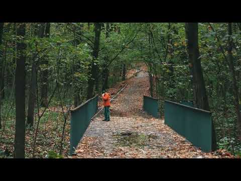 Bitsa forest. 2023.10.08