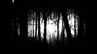 Raven (Pre-Shape of Despair) - ...In The Mist