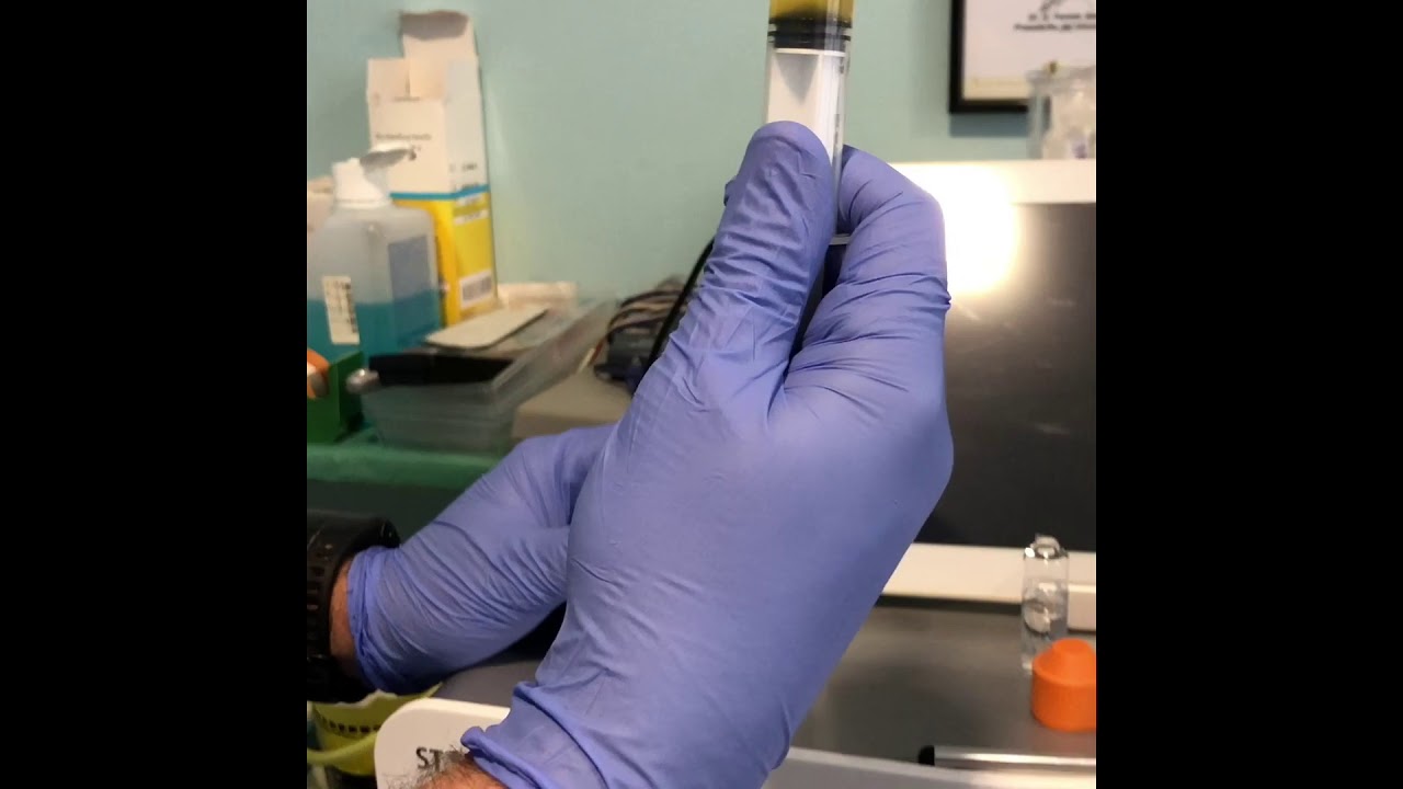 Diego Benitez Pareja-13