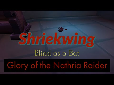 Blind as a Bat - Shriekwing - Glory of the Nathria Raider