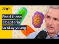 NEW gut science: 3 bacteria that keep your heart healthy | Prof. Tim Spector & Prof. Nicola Segata
