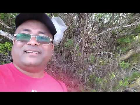 Secrets of La Prairie Beach: Unveiling the Hidden Gems in Mauritius