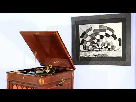 Foxtrot, "Whose Who Are You?", Duke Yellman and his Orchestra on Edison Diamond Disc record 51689-L