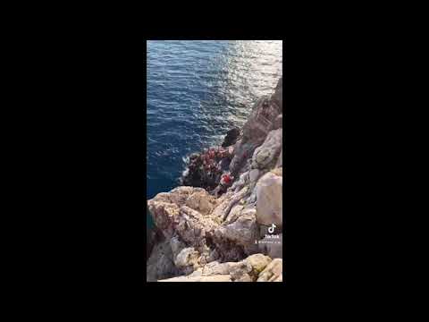 Sunbathing Cats Cuddle Up Away From Crowds on Sunny Cliff