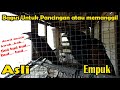 Suara Burung Bubut