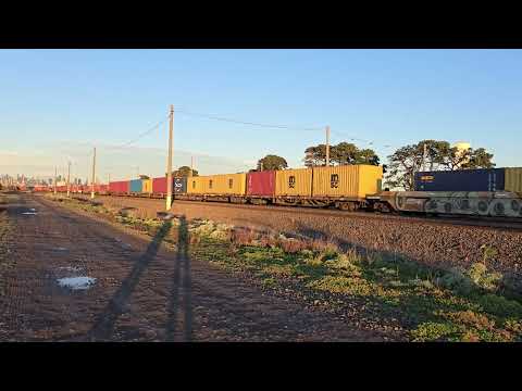 Pacific National NR16 NR116 NR42 5MC2 train Tottenham