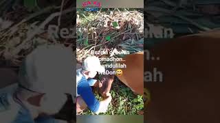 Download lagu Sungguh teganya dirimu, untung aja udah Profesional.. kalau tidak. 😲🤗🤩#shorts mp3
