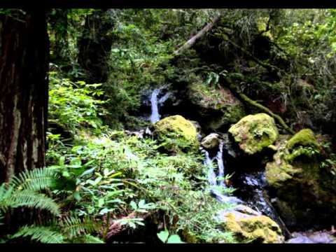 "A Distant Summer's Dream" by A.B.Ross 3.2007