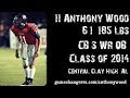 Anthony Wood Senior Year #11 QB/DB 