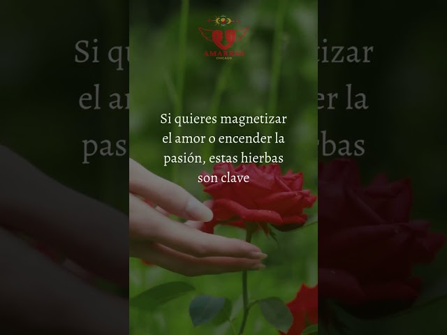 Vídeo relacionado con GUOYOU Ojo Turco Azul, Mal de Ojo Regalo de Bendición, 7 cm Colgante de Amuleto Proteccion, Encantos de Buena Suerte para Colgar, Amuleto de la Suerte, para Decoración del Hogar Regalo