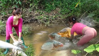 Full Video: Fishing Techniques, Uses Bait to Attract Fish Pulling The Nets Catch a Lot of Fish