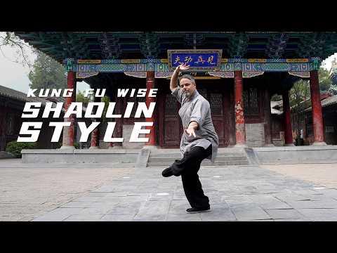 From Big Screen to Big Dreams at Shaolin | Kung Fu Wise