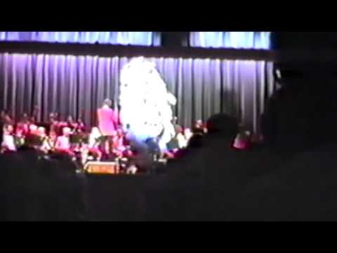 Ferko String Band - And The Band Played On Ocean City 1992