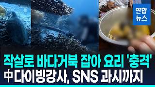 작살로 멸종위기 바다거북 잡아먹은 中 다이버…출국 직전 체포 / 연합뉴스 (Yonhapnews)