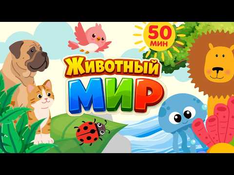 🦁 Животный Мир 🐬 | Животные, Птицы и Насекомые для детей