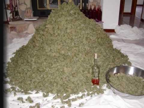 Stoney Moe - Bongsong