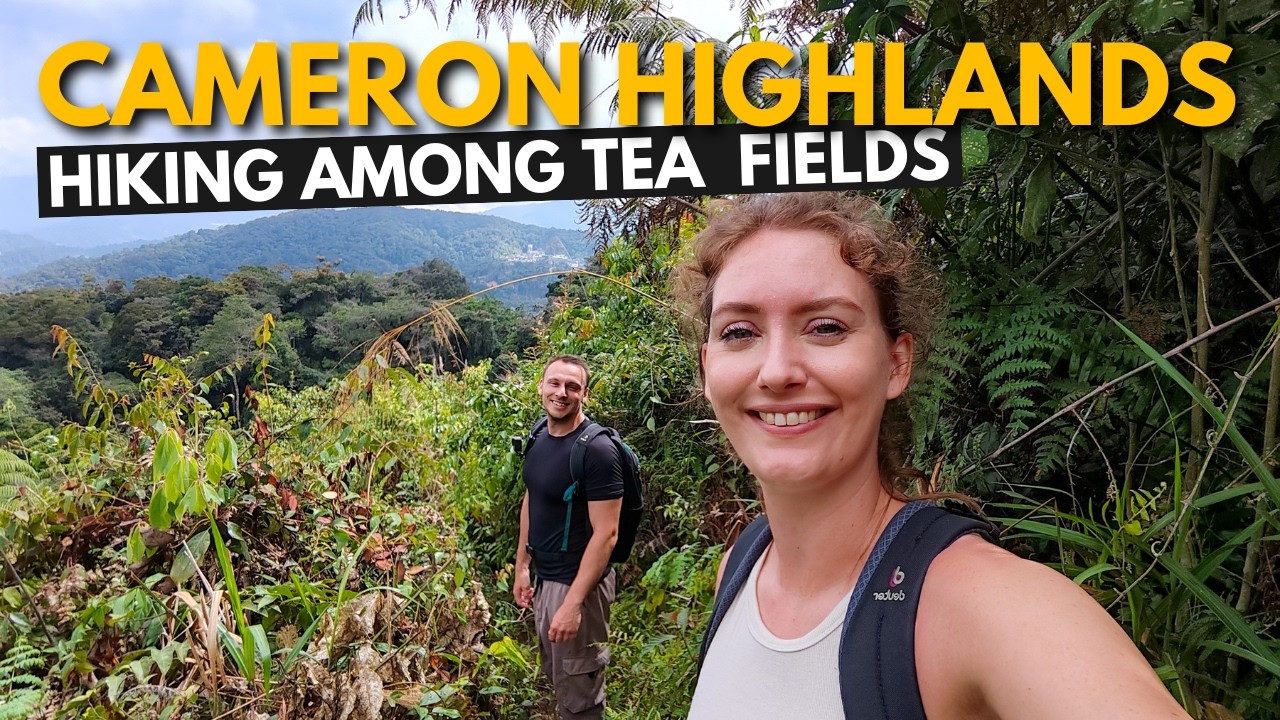 Cameron Highlands 🇲🇾 Malaysia Vlog - Hiking, Tea Fields & Mountain Views