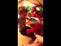 Funny Elmo