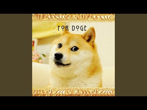 For Doge (Kabosu)