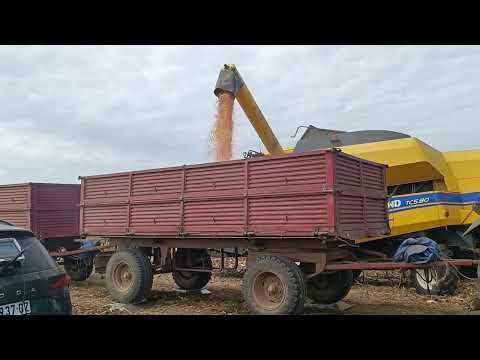 DKC HIBRIDI KOD RUDOLFA TOTA U TEMERINU