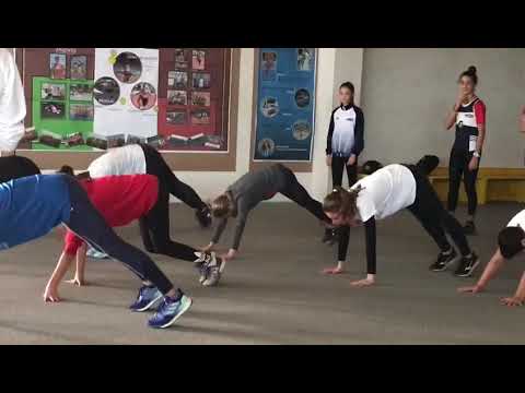 Clinic Fidal Ostacoli