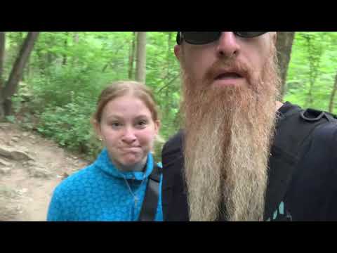 Infected Mosquito CHV Zombie Virus