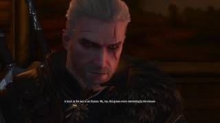 How To Save Witcher 3 Anna