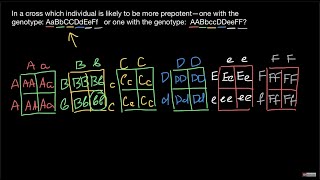 Breeding: Prepotency explained