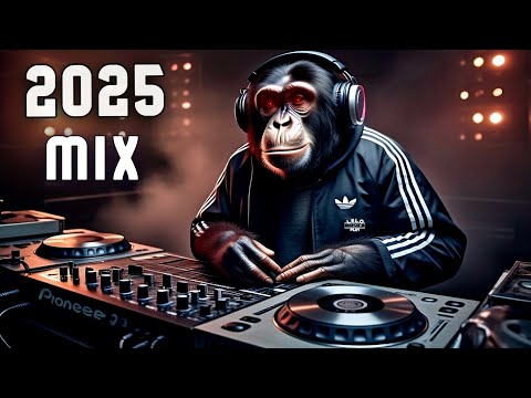 Música SIN Copyright 2025 🔥Twitch, YouTube, Facebook | MIX ELECTRONICA SIN COPYRIGHT - LELOPLAY MIX
