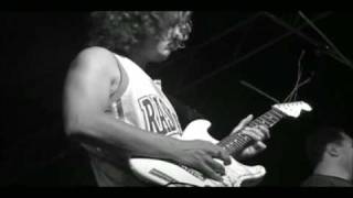 never never natural vibes hilo