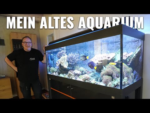 Alex' altes Becken - Gute, alte Zeiten! - Abyzz