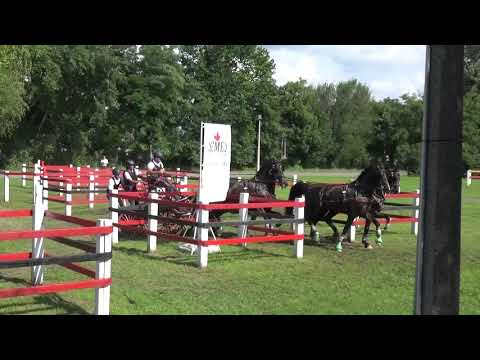 Dobrovitz József - CAN-A, H4, Mezőhegyes, maratonhajtás/marathon, 6. akadály, 2020. július 4.