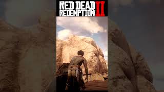 Total madness  #rdr2brutalgameplay