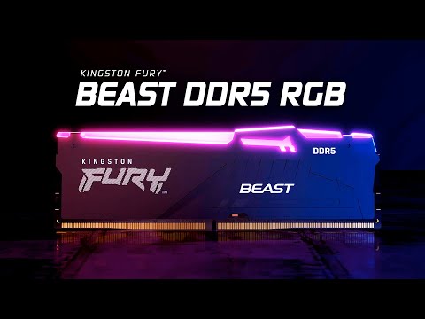 RAM „Kingston KF552C40BBAK2-64“ 64 GB 5200 MT/s DDR5 CL40 DIMM (2 vnt. rinkinys) „FURY Beast RGB“ | „Kingston“ video