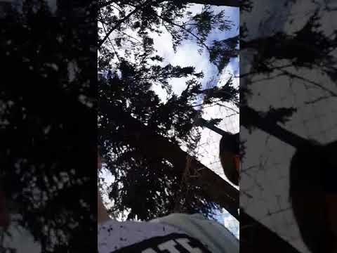 Deutschland das neue Ghetto