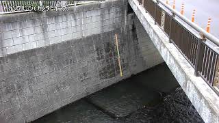 柏橋映像監視局
